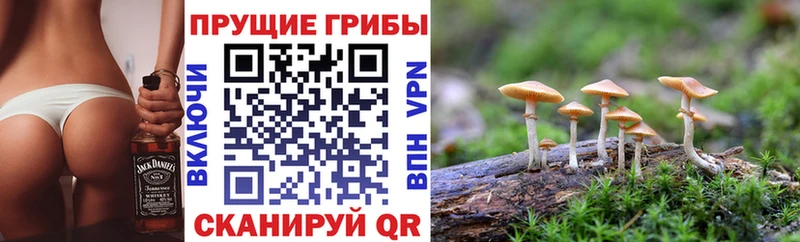 Галлюциногенные грибы Magic Shrooms Островной